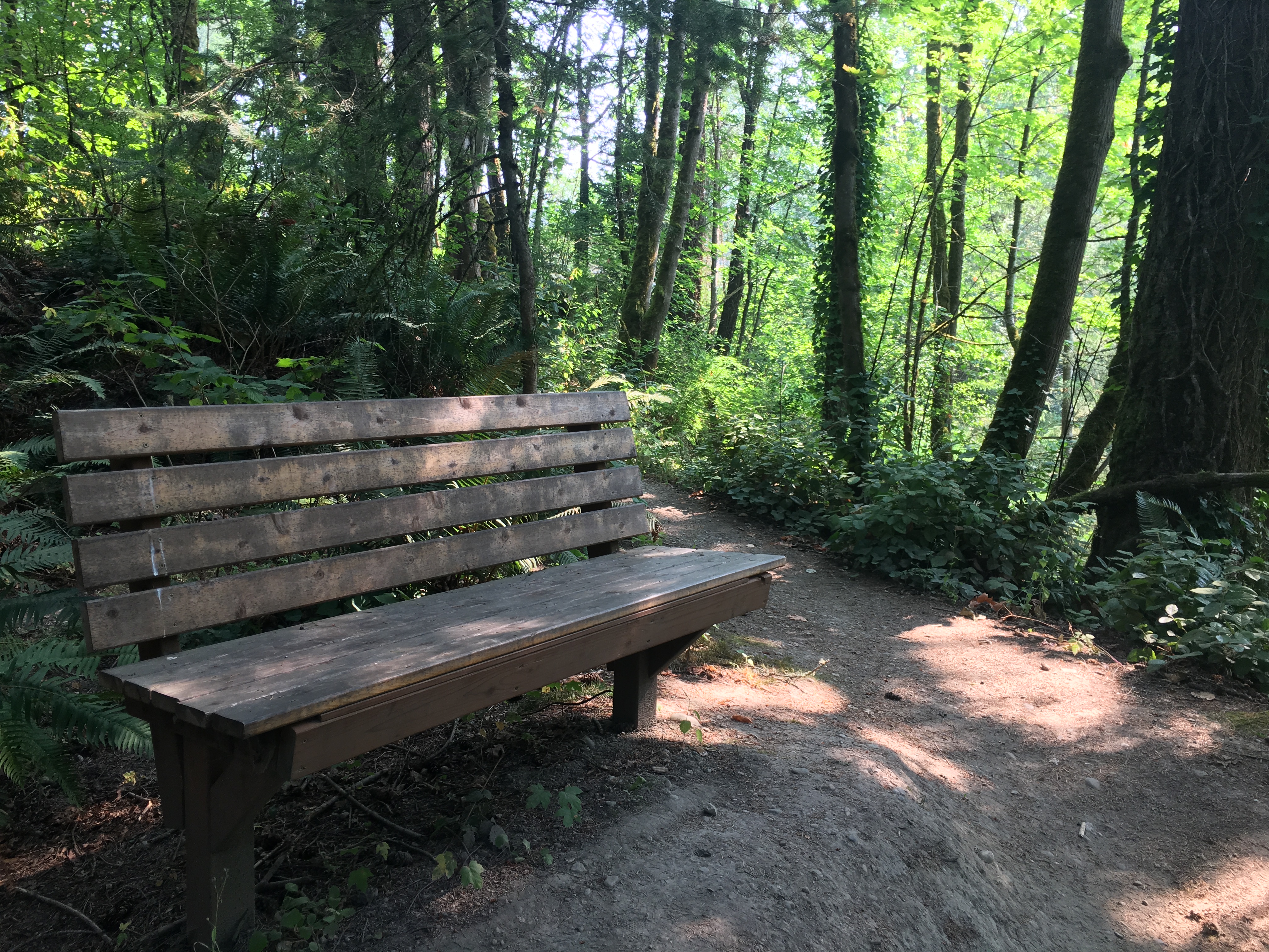 ../images/trails/may_creek_east//04 Bench at Overlook.jpg